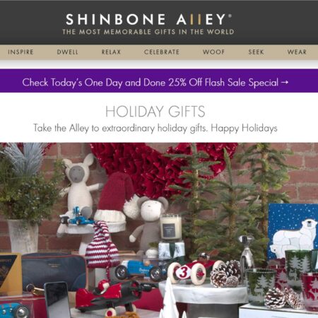 Shinbone-Alley